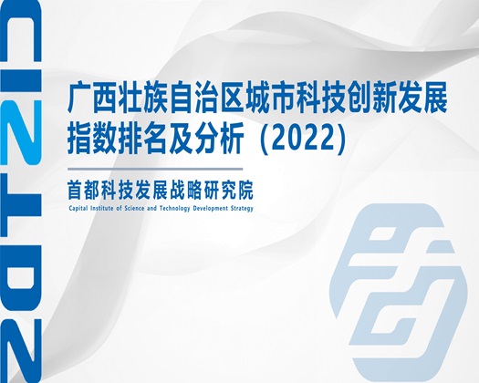 啊啊啊日本操逼免费观看【成果发布】广西壮族自治区城市科技创新发展指数排名及分析（2022）